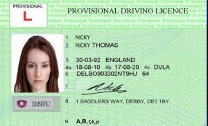 Provisional-driving-licence